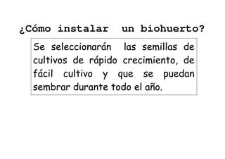 ¿Cómo instalar un biohuerto? 
Se seleccionarán las semillas de 
cultivos de rápido crecimiento, de 
fácil cultivo y que se puedan 
sembrar durante todo el año. 
 