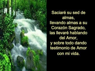 Saciaré su sed de
almas,
llevando almas a su
Corazón Sagrado,
las llevaré hablando
del Amor,
y sobre todo dando
testimonio de Amor
con mi vida.
 