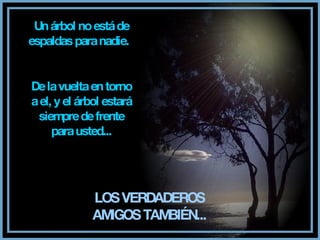 Un árbol no está de espaldas para nadie. De la vuelta en torno a el, y el árbol estará siempre de frente para usted... LOS VERDADEROS AMIGOS TAMBIÉN...