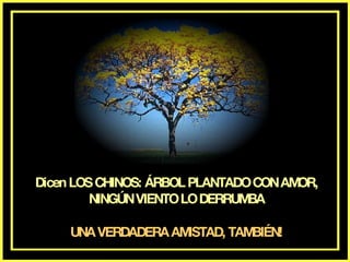 Dicen LOS CHINOS: ÁRBOL PLANTADO CON AMOR, NINGÚN VIENTO LO DERRUMBA UNA VERDADERA AMISTAD, TAMBIÉN!