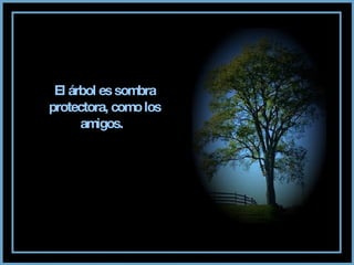 El árbol es sombra protectora, como los amigos.  