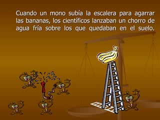 Cuando un mono subía la escalera para agarrar las bananas, los científicos lanzaban un chorro de agua fría sobre los que quedaban en el suelo. 