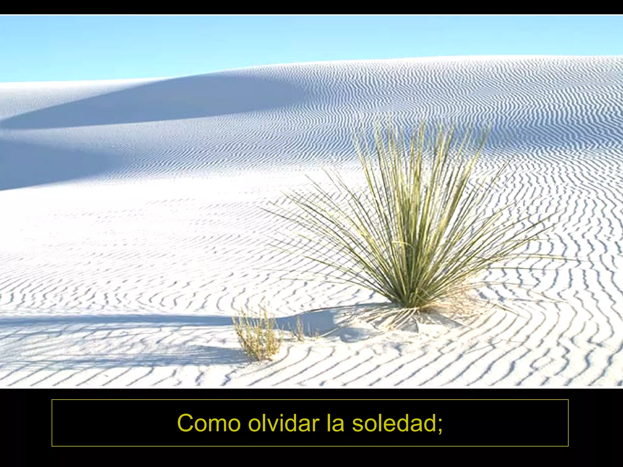 Como olvidar la soledad;