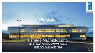 Obrigado.
Haroldo Machado Filho
Assessor Senior PNUD Brasil
ODS.BRASIL@UNDP.ORG
 