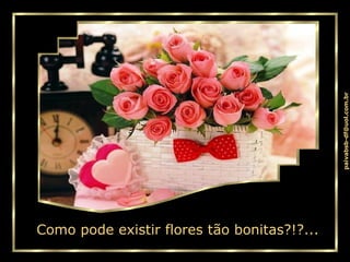 Como pode existir flores t ão bonitas?!?... 