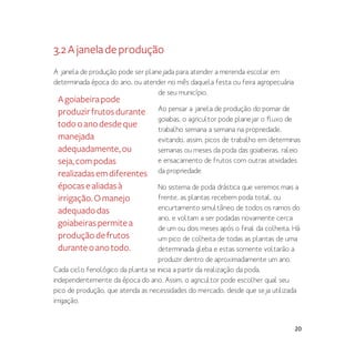 20
3.2Ajaneladeprodução
A janela de produção pode ser planejada para atender a merenda escolar em
determinada época do ano, ou atender no mês daquela festa ou feira agropecuária
de seu município.
Ao pensar a janela de produção do pomar de
goiabas, o agricultor pode planejar o fluxo de
trabalho semana a semana na propriedade,
evitando, assim, picos de trabalho em determinas
semanas ou meses da poda das goiabeiras, raleio
e ensacamento de frutos com outras atividades
da propriedade.
No sistema de poda drástica que veremos mais a
frente, as plantas recebem poda total, ou
encurtamento simultâneo de todos os ramos do
ano, e voltam a ser podadas novamente cerca
de um ou dois meses após o final da colheita. Há
um pico de colheita de todas as plantas de uma
determinada gleba e estas somente voltarão a
produzir dentro de aproximadamente um ano.
Cada ciclo fenológico da planta se inicia a partir da realização da poda,
independentemente da época do ano. Assim, o agricultor pode escolher qual seu
pico de produção, que atenda as necessidades do mercado, desde que seja utilizada
irrigação.
Agoiabeirapode
produzirfrutosdurante
todooanodesdeque
manejada
adequadamente,ou
seja,compodas
realizadasemdiferentes
épocasealiadasà
irrigação.Omanejo
adequadodas
goiabeiraspermitea
produçãodefrutos
duranteoanotodo.
 