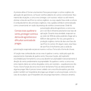 27
A primeira delas é formar uma barreira física para proteger o cultivo orgânico da
aplicação de agrotóxicos, se houver vizinhos adeptos do cultivo convencional. Na a
maioria das situações, a cerca viva consegue, com sucesso, reduzir ou até mesmo
eliminar a área de sacrifício no cultivo orgânico, ou seja, aquela faixa onde a cultura
é conduzida dentro dos princípios orgânicos, mas a goiaba colhida é comercializada
como convencional em razão da presença de vizinhos convencionais. Onde há
pulverização aérea de agrotóxico, a cerca viva
por si só não é eficiente para barrar esse tipo de
aplicação. Durante essa atividade, evaporam-se
ao redor de 40% da calda, podendo chegar até a
60% em dias quentes. Por isso, para garantir a
produção orgânica, temos de aliar uma faixa de
sacrifício no cultivo. Em alguns casos, essa faixa
de sacrifício é insuficiente, pois a calda da
pulverização evaporada vai para as nuvens e volta a Terra sob a forma de chuvas.
A função mais conhecida das cercas vivas é quebrar o vento, razão pela qual são
popularmente chamadas de quebra-vento. Para essa função, a(s) espécie(s)
escolhida(s) para formar(em) a cerca viva deve(m) ser plantada(s) transversalmente à
direção do vento predominante na propriedade. Ao quebrar o vento, a cerca viva
evita maiores danos ao cultivo da goiaba, como, por exemplo, a queda precoce dos
frutos. Outra função da cerca viva é servir de barreira física ao deslocamento de
algumas pragas. Mas é preciso tomar cuidado com a escolha da espécie, pois elas
podem também ser hospedeiras de pragas que atingem a cultura principal, como é o
caso do eucalipto, que é hospedeiro de uma praga importante, o besouro amarelo,
Cervasvivas:quebraro
vento,protegercontraa
derivadeagrotóxicose
dificultaraentradade
pragas.
 