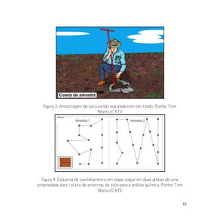 31
Figura 3. Amostragem de solo sendo realizada com um trado. (Fonte: Tom
Ribeiro/CATI)
Figura 4. Esquema de caminhamento em zique-zague em duas glebas de uma
propriedade para coleta de amostras de solo para a análise química. (Fonte: Tom
Ribeiro/CATI)
 