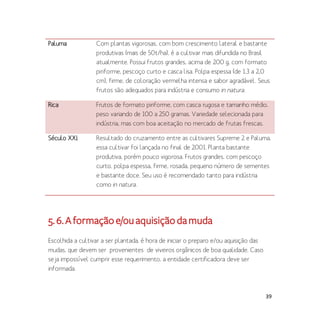 39
Paluma Com plantas vigorosas, com bom crescimento lateral e bastante
produtivas (mais de 50t/ha), é a cultivar mais difundida no Brasil
atualmente. Possui frutos grandes, acima de 200 g, com formato
piriforme, pescoço curto e casca lisa. Polpa espessa (de 1,3 a 2,0
cm), firme, de coloração vermelha intensa e sabor agradável. Seus
frutos são adequados para indústria e consumo in natura.
Rica Frutos de formato piriforme, com casca rugosa e tamanho médio,
peso variando de 100 a 250 gramas. Variedade selecionada para
indústria, mas com boa aceitação no mercado de frutas frescas.
Século XXI Resultado do cruzamento entre as cultivares Supreme 2 e Paluma,
essa cultivar foi lançada no final de 2001. Planta bastante
produtiva, porém pouco vigorosa. Frutos grandes, com pescoço
curto, polpa espessa, firme, rosada, pequeno número de sementes
e bastante doce. Seu uso é recomendado tanto para indústria
como in natura.
5.6.Aformaçãoe/ouaquisiçãodamuda
Escolhida a cultivar a ser plantada, é hora de iniciar o preparo e/ou aquisição das
mudas, que devem ser provenientes de viveiros orgânicos de boa qualidade. Caso
seja impossível cumprir esse requerimento, a entidade certificadora deve ser
informada.
 