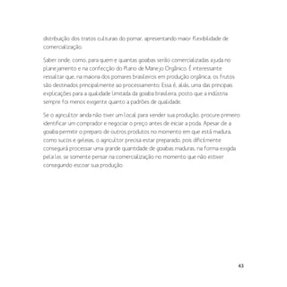 43
distribuição dos tratos culturais do pomar, apresentando maior flexibilidade de
comercialização.
Saber onde, como, para quem e quantas goiabas serão comercializadas ajuda no
planejamento e na confecção do Plano de Manejo Orgânico. É interessante
ressaltar que, na maioria dos pomares brasileiros em produção orgânica, os frutos
são destinados principalmente ao processamento. Essa é, aliás, uma das principais
explicações para a qualidade limitada da goiaba brasileira, posto que a indústria
sempre foi menos exigente quanto a padrões de qualidade.
Se o agricultor ainda não tiver um local para vender sua produção, procure primeiro
identificar um comprador e negociar o preço antes de iniciar a poda. Apesar de a
goiaba permitir o preparo de outros produtos no momento em que está madura,
como sucos e geleias, o agricultor precisa estar preparado, pois dificilmente
conseguirá processar uma grande quantidade de goiabas maduras, na forma exigida
pela lei, se somente pensar na comercialização no momento que não estiver
conseguindo escoar sua produção.
 