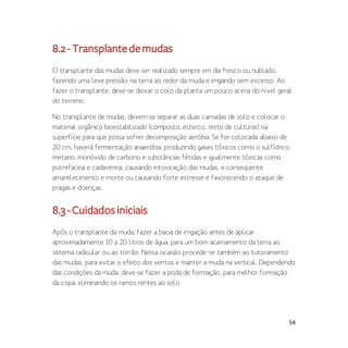 54
8.2-Transplantedemudas
O transplante das mudas deve ser realizado sempre em dia fresco ou nublado,
fazendo uma leve pressão na terra ao redor da muda e irrigando sem excesso. Ao
fazer o transplante, deve-se deixar o colo da planta um pouco acima do nível geral
do terreno.
No transplante de mudas, devem-se separar as duas camadas de solo e colocar o
material orgânico bioestabilizado (composto, esterco, resto de culturas) na
superfície para que possa sofrer decomposição aeróbia. Se for colocada abaixo de
20 cm, haverá fermentação anaeróbia, produzindo gases tóxicos como o sulfídrico,
metano, monóxido de carbono e substâncias fétidas e igualmente tóxicas como
putrefacina e cadaverina, causando intoxicação das mudas, e consequente
amarelecimento e morte ou causando forte estresse e favorecendo o ataque de
pragas e doenças.
8.3-Cuidadosiniciais
Após o transplante da muda, fazer a bacia de irrigação antes de aplicar
aproximadamente 10 a 20 litros de água, para um bom acamamento da terra ao
sistema radicular ou ao torrão. Nessa ocasião procede-se também ao tutoramento
das mudas, para evitar o efeito dos ventos e manter a muda na vertical. Dependendo
das condições da muda, deve-se fazer a poda de formação, para melhor formação
da copa, eliminando os ramos rentes ao solo.
 