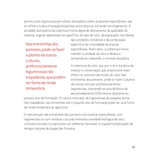 57
química, pois alguns possuem efeito alelopático sobre as plantas espontâneas, que
se refere a toda a interação bioquímica entre plantas, incluindo microrganismos. A
atividade alelopática da cobertura morta depende diretamente da qualidade do
material vegetal depositado na superfície, do tipo de solo, da população microbiana,
das condições climáticas e da composição
específica da comunidade de plantas
espontâneas. Além disso, a cobertura morta
mantém a umidade do solo e diminui a
temperatura, reduzindo o estresse da planta.
A cobertura do solo, que por si só é a prática de
manejo e conservação que proporciona maior
efeito no controle da erosão do solo. Nas
entrelinhas dos pomares, pode-se fazer o plantio
de outras culturas, preferencialmente
leguminosas, mantendo-se uma distância de
aproximadamente 0,50 metros da planta no
primeiro ano de formação. O cultivo intercalar de leguminosas de pequeno porte,
não trepadeiras, nas entrelinhas até o segundo ano de formação pode ser uma fonte
de renda temporária ao agricultor.
A manutenção das entrelinhas dos pomares com plantas espontâneas, com
leguminosas ou com resíduos culturais estimula a atividade biológica do solo,
controla a erosão e proporciona um ambiente favorável à criação/multiplicação de
inimigos naturais de pragas das fruteiras.
Nasentrelinhasdos
pomares,pode-sefazer
oplantiodeoutras
culturas,
preferencialmente
leguminosasnão
trepadeiras,quepodem
serfontederenda
temporária.
 
