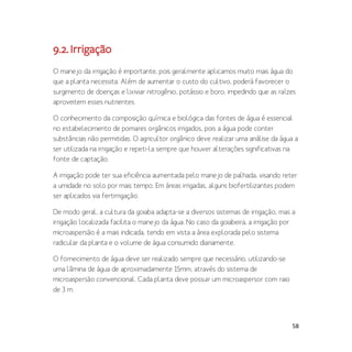 58
9.2.Irrigação
O manejo da irrigação é importante, pois geralmente aplicamos muito mais água do
que a planta necessita. Além de aumentar o custo do cultivo, poderá favorecer o
surgimento de doenças e lixiviar nitrogênio, potássio e boro, impedindo que as raízes
aproveitem esses nutrientes.
O conhecimento da composição química e biológica das fontes de água é essencial
no estabelecimento de pomares orgânicos irrigados, pois a água pode conter
substâncias não permitidas. O agricultor orgânico deve realizar uma análise da água a
ser utilizada na irrigação e repeti-la sempre que houver alterações significativas na
fonte de captação.
A irrigação pode ter sua eficiência aumentada pelo manejo de palhada, visando reter
a umidade no solo por mais tempo. Em áreas irrigadas, alguns biofertilizantes podem
ser aplicados via fertirrigação.
De modo geral, a cultura da goiaba adapta-se a diversos sistemas de irrigação, mas a
irrigação localizada facilita o manejo da água. No caso da goiabeira, a irrigação por
microaspersão é a mais indicada, tendo em vista a área explorada pelo sistema
radicular da planta e o volume de água consumido diariamente.
O fornecimento de água deve ser realizado sempre que necessário, utilizando-se
uma lâmina de água de aproximadamente 15mm, através do sistema de
microaspersão convencional. Cada planta deve possuir um microaspersor com raio
de 3 m.
 
