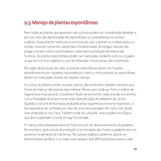 59
9.3.Manejodeplantasespontâneas
Nem todas as plantas que aparecem nos cultivos podem ser consideradas daninhas e;
por isso, elas são denominadas de espontâneas ou companheiras no sistema
orgânico. Essas plantas melhoram a estrutura do solo, previnem a compactação e a
erosão, reciclam nutrientes, aumentam a biodiversidade de inimigos naturais das
pragas e atraem insetos polinizadores, essenciais na produção da maioria das
fruteiras. As plantas espontâneas podem ser manejadas mediante ceifa ou roçagem,
já que em cultivos orgânicos o uso de herbicidas convencionais não é permitido.
Na região da projeção da copa, as plantas espontâneas devem ser roçadas
periodicamente por roçadeira tracionada por trator e, entre plantas, as espontâneas
devem ser manejadas através de roçadas manuais.
O cultivo de adubos verdes na parte central das entrelinhas também constitui uma
forma de manejo das plantas espontâneas. Nesse caso, pode ser feito o rodízio de
leguminosas (mucuna anã, crotalária e feijão-de-porco) em cada uma das entrelinhas,
com a finalidade de proporcionar maior diversificação do ambiente de cultivo.
Quando o volume de biomassa produzido pelas leguminosas torna-se expressivo, a
biomassa deve ser tombada por meio de uma única passagem de trator com grade
leve acoplada ou rolo faca. Também pode ser utilizada uma roçadeira ecológica,
que deixa a palhada no local em que foi cortada.
O manejo dessa biomassa deve ser feito em prol do desenvolvimento da goiabeira.
Por exemplo, após a poda de produção e na formação dos frutos a goiabeira tem um
aumento na demanda de nutrientes. No cultivo orgânico, podemos aplicar um
biofertilizante aeróbico e ou fazer uma calagem (até 800 kg/ha) para ativar a vida
 