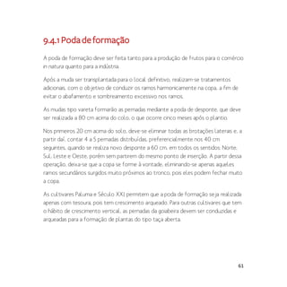 61
9.4.1Podadeformação
A poda de formação deve ser feita tanto para a produção de frutos para o comércio
in natura quanto para a indústria.
Após a muda ser transplantada para o local definitivo, realizam-se tratamentos
adicionais, com o objetivo de conduzir os ramos harmonicamente na copa, a fim de
evitar o abafamento e sombreamento excessivo nos ramos.
As mudas tipo vareta formarão as pernadas mediante a poda de desponte, que deve
ser realizada a 80 cm acima do colo, o que ocorre cinco meses após o plantio.
Nos primeiros 20 cm acima do solo, deve-se eliminar todas as brotações laterais e, a
partir daí, contar 4 a 5 pernadas distribuídas, preferencialmente nos 40 cm
seguintes, quando se realiza novo desponte a 60 cm, em todos os sentidos: Norte,
Sul, Leste e Oeste, porém sem partirem do mesmo ponto de inserção. A partir dessa
operação, deixa-se que a copa se forme à vontade, eliminando-se apenas aqueles
ramos secundários surgidos muito próximos ao tronco, pois eles podem fechar muito
a copa.
As cultivares Paluma e Século XXI permitem que a poda de formação seja realizada
apenas com tesoura, pois tem crescimento arqueado. Para outras cultivares que tem
o hábito de crescimento vertical, as pernadas da goiabeira devem ser conduzidas e
arqueadas para a formação de plantas do tipo taça aberta.
 