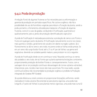 62
9.4.2.Podadeprodução
A indução floral de algumas fruteiras se faz necessária para a uniformização e
garantia da produção em períodos específicos. No cultivo orgânico, não há a
possibilidade de uso de hormônios vegetais para induzir a floração da planta, sendo a
poda, portanto, a ferramenta utilizada para manipular a floração de algumas
fruteiras, como é o caso da goiaba, conduzindo à frutificação, quantitativa e
qualitativamente, para a janela de produção identificada pelo agricultor.
A poda de frutificação é realizada para estimular a produção de ramos com flores e
frutos em qualquer parte da planta. A frutificação naturalmente ocorre nos meses
mais quentes e úmidos, geralmente de outubro em diante na região sudeste. Já o
florescimento se dá no ramo o ano todo, no ponto onde as folhas estão presas. Se
em um ramo não surgir botão floral até o 3° ou 4° par de folhas, sua gema será
vegetativa, devendo ser podada quando maduro, para produzir no ciclo seguinte.
A poda de frutificação divide-se em contínua e total. Na poda contínua, os ramos
são podados o ano todo, de tal forma que a planta apresenta brotações constantes,
proporcionando produção de botões florais e, consequentemente, frutos, com a
vantagem de se ter produção contínua e desvantagem de tornar a planta vulnerável
à bacteriose, pois, tecidos mais novos são mais suscetíveis. Por essa razão, a poda
contínua é prática não recomendada na produção orgânica e proibida na Produção
Integrada de Goiabas (PIF-Goiaba).
Já a poda drástica ou total consiste em proporcionar brotações uniformes, sendo
realizada em toda a planta. Recomenda-se para planta vigorosa, uma poda mais
longa (6 a 7 pares de folhas), e para plantas menos vigorosas, uma poda mais curta (2
 