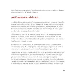 66
ocorrência de abortamento de frutos laterais é muito comum em goiabeira, durante
os primeiros estádios de desenvolvimento.
9.6.Ensacamentodefrutos
A prática não química de maior eficiência para evitar danos por mosca-das-frutas é o
ensacamento de frutos (Figura 8). Esta prática pode eliminar por completo o uso de
inseticidas no controle desse inseto-praga. Entretanto, ainda é praticado de forma
bastante variada, sendo os frutos ensacados com diferentes tipos de embalagens e
em diferentes estádios de desenvolvimento.
Além de reduzir o ataque de pragas e doenças, a prática de ensacamento expõe
menos os frutos aos fatores climáticos, melhorando assim a qualidade final das
frutas. Essa prática é primordial na cultura da goiabeira, principalmente se o destino
dos frutos é o mercado in natura.
Podem ser usados diversos tipos de material na confecção dos saquinhos para o
ensacamento, como TNT, polipropileno, polietileno e papel impermeável, sendo o
mais comum o uso de saquinhos para pipoca feitos de papel impermeável.
Segundo Jia et al. (2004), o ensacamento com sacos de papel pode afetar atributos
considerados importantes na qualidade e conservação do fruto, como maturação
precoce e interferências na cor e aroma do fruto, fato importante pois o
consumidor procura por frutos em geral com boa coloração, formato arredondado,
tamanho adequado e aroma agradável, além do sabor e valor nutritivo. Em goiabeiras,
o ensacamento é realizado quando os frutos apresentam diâmetro aproximado de
 