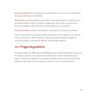 71
Pasta de enxofre: para o pincelamento ou caiação do tronco e ramos na prevenção
do ataque de brocas e cochonilhas.
Óleo de Nim: o óleo extraído da árvore de nim apresenta diversos compostos com
atividade biológica, sendo o principal a azadiractina, que é tóxica a insetos, com
efeito de repelência, além de inibir sua alimentação e seu crescimento.
Extrato de arruda: utilizado como defensivo alternativo no controle de insetos.
Caso as realizações das operações deste manual não surtam efeito, ou no caso de
haver um imprevisto, descreveremos a seguir as principais doenças e pragas da
cultura da goiaba, e maneiras de viabilizar sua produção orgânica.
10.1.Pragasdagoiabeira
As pragas surgem em diferentes intensidades durante o desenvolvimento da cultura.
As mais importantes e seus respectivos métodos de controle estão descritos a
seguir. A presença de galinhas nos pomares de goiaba pode auxiliar no controle de
pragas que derrubam frutas ou que parte do ciclo ocorre no solo (Figura 9)
 