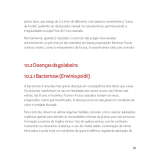 79
ponto duro, que atinge de 2 a 5mm de diâmetro, com aspecto semelhante a “casca
de ferida”, podendo ser destacados manual ou naturalmente, permanecendo a
irregularidade na superfície do fruto atacado.
Normalmente, quando é realizado o controle das pragas mencionadas
anteriormente, os percevejos são mantidos em baixas populações. Barreiras físicas
contra o inseto, como o ensacamento de frutos, é uma eficiente tática de controle.
10.2Doençasdagoiabeira
10.2.1Bacteriose(Erwiniapsidii)
A bacteriose é uma das mais graves doenças em consequência dos danos que causa.
Os sintomas manifestam-se nas extremidades dos ramos novos, nas folhas mais
velhas, nas flores e frutinhos. Flores e frutos atacados tornam-se secos,
enegrecidos, como que mumificados. A doença torna-se mais grave em condições de
calor e umidade elevada.
Para controle, devem-se adotar algumas medidas culturais, como: realizar adubações
orgânicas apenas para atender às necessidades mínimas da planta, para não provocar
formação excessiva de órgãos tenros. Uso de quebra-ventos, uso de cultivares
resistentes ou tolerantes à doença, o uso de mudas sadias, a eliminação de ramos
infectados e poda total em condições de grave incidência, seguida de aplicação de
 