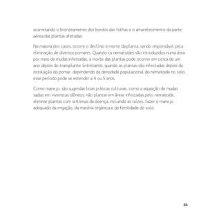84
acarretando o bronzeamento dos bordos das folhas e o amarelecimento da parte
aérea das plantas afetadas.
Na maioria dos casos, ocorre o declínio e morte da planta, sendo responsável pela
eliminação de diversos pomares. Quando os nematoides são introduzidos numa área
por meio de mudas infestadas, a morte das plantas pode ocorrer em cerca de um
ano depois do transplante. Entretanto, quando as plantas são infectadas depois da
instalação do pomar, dependendo da densidade populacional do nematoide no solo,
esse período pode se estender a 4 ou 5 anos.
Como manejo, são sugeridas boas práticas culturais, como a aquisição de mudas
sadias em viveiristas idôneos, não plantar em áreas infestadas pelo nematoide,
eliminar plantas com sintomas da doença, incluindo as raízes, fazer o manejo
adequado da irrigação, da matéria orgânica e da fertilidade do solo.
 