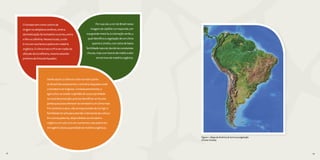 22 2322 23
Figura 1 - Mapa da América do Sul e sua vegetação
(Fonte: Fotolia)
Por sua vez, a cor do Brasil nessa
imagem de satélite corresponde, em
sua grande maioria, à coloração verde, a
qual identifica a vegetação de um clima
quente e úmido, com solos de baixa
fertilidade natural, devido às constantes
chuvas, mas com teores de médio a alto
em termos de matéria orgânica.
O tomate tem como centro de
origem os altiplanos andinos, onde a
domesticação do tomateiro ocorreu, entre
o Peru e a Bolívia. Nesses locais, o solo
é rico em nutriente e pobre em matéria
orgânica. O clima é seco e frio em razão da
altitude da Cordilheira, mesmo estando
próximo da linha do Equador.
Sendo assim, o clima e o solo na maior parte
do Brasil são exatamente o contrário daqueles onde
o tomateiro se originou. Consequentemente, o
agricultor, ao avaliar a aptidão de sua propriedade
ou local de produção, precisa identificar se há uma
janela que possa oferecer ao tomateiro um clima mais
frio (ameno) e seco, não se esquecendo de corrigir a
fertilidade do solo para atender à demanda da cultura.
Em outras palavras, disponibilizar ao tomateiro
orgânico um solo rico em nutrientes, mas pobre em
nitrogênio (baixa quantidade de matéria orgânica).
 