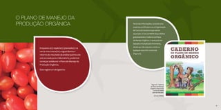 30 31
O PLANO DE MANEJO DA
PRODUÇÃO ORGÂNICA
30 31
Figura 6 - Caderno
do Plano de Manejo
Orgânico disponível
no site do MAPA
para ser baixado.
(Fonte: MAPA)
Enquanto a(s) espécie(s) plantada(s) na
cerca-viva cresce(m) e aguardamos o
retorno do resultado da análise química do
solo enviada para o laboratório, podemos
começar a elaborar o Plano de Manejo da
Produção Orgânica.
Este registro é obrigatório.
Para mais informações, consulte uma
empresa certificadora ou a Organização
de Controle Social em que estiver
associado. O site do MAPA disponibiliza
gratuitamente o Caderno do Plano
de Manejo Orgânico, o qual pode ser
baixado e multiplicado livremente,
desde que não seja para venda ou
qualquer outro fim comercial
(Figura 6).
SylviaWachsner
 