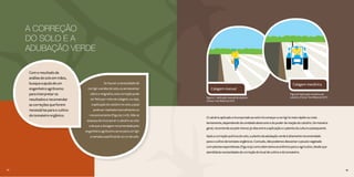 34 35
O calcário aplicado e incorporado ao solo irá começar a corrigí-lo mais rápido ou mais
lentamente, dependendo da umidade deste solo e do poder de reação do calcário. De maneira
geral, recomenda-se pelo menos 30 dias entre a aplicação e o plantio da cultura subsequente.
Após a correção química do solo, o plantio da adubação verde é altamente recomendado
para o cultivo de tomates orgânicos. Contudo, não podemos descartar o pousio vegetado
com plantas espontâneas (Figura 9) como alternativa econômica para o agricultor, desde que
atendida às necessidades de correção do local de cultivo e do tomateiro.
Figura 7 - Aplicação manual de calcário.
(Fonte: Tom Ribeiro/CATI)
34 3534 35
A CORREÇÃO
DO SOLO E A
ADUBAÇÃO VERDE
Figura 8. Aplicação mecânica de
calcário. (Fonte: Tom Ribeiro/CATI)
Se houver a necessidade de
corrigir a acidez do solo, ou acrescentar
cálcio e magnésio, esta correção pode
ser feita por meio da calagem, ou seja,
a aplicação do calcário no solo, a qual
pode ser realizada manualmente ou
mecanicamente (Figuras 7 e 8). Não se
esqueça de incorporar o calcário ao solo
e de que a dosagem recomendada pelo
engenheiro agrônomo serve para corrigir
a camada superficial de 20 cm de solo.
Com o resultado da
análise de solo em mãos,
busque a ajuda de um
engenheiro agrônomo
para interpretar os
resultados e recomendar
as correções que forem
necessárias para o cultivo
do tomateiro orgânico.
Calagem mecânica
Calagem manual
 