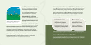 36 37
A escolha do que plantar como adubação verde
deve levar em conta a época de cultivo, já que
temos espécies recomendadas para os meses
mais frios ou quentes do ano. Deve também
levar em consideração a presença ou não de
nematoides na gleba em que pretendemos
cultivar os tomates. Há de se reparar na
necessidade do agricultor em gerar renda
nesta gleba e a disponibilidade de sementes dos
adubos verdes mas, fundamentalmente, não se
esquecer de considerar as exigências do cultivo
do tomateiro.
Respeitar a baixa exigência de matéria orgânica
no solo é fundamental para o controle de pragas
e doenças. Uma estratégia para atender esta característica do tomateiro é aplicar até 60% da
adubação orgânica (composto) prevista para o tomateiro antes do plantio da adubação verde.
Dessa maneira, os adubos verdes irão se beneficiar desse processo e imobilizar parte dos
nutrientes do composto orgânico para mais tarde, sob a forma de biomassa, disponibilizar os
nutrientes retidos ao cultivo do tomateiro.
O Boletim Técnico CATI 249 é a publicação que contém informações mais atualizadas sobre
adubação verde no estado de São Paulo. Consultar as informações ali contidas ajuda a
selecionar qual espécie de adubo verde plantar para cada época do ano.
A presença de nematoides na gleba sugere o uso de Crotalárias, mas não podemos esquecer a
memória genética do tomateiro. Como é mesmo o solo na região de origem do tomateiro? Pois
é, temos nos altiplanos andinos um solo rico em nutrientes, mas pobre em matéria orgânica.
Um solo pobre em matéria orgânica significa baixa disponibilidade de nitrogênio. Em razão
disso, o tomateiro desenvolveu uma grande capacidade de aproveitar o pouco nitrogênio
disponível no solo. Alguns cultivares de tomate é capaz de aproveitar de 4 a 5 vezes mais o
nitrogênio disponível no solo quando comparado com as demais culturas.
Se considerarmos que:
então, se plantarmos apenas Crotalária como adubação verde antes do plantio do tomateiro,
estamos criando condições perfeitas para se ter uma planta desequilibrada nutricionalmente e
suscetível a pragas e doenças, pelo excesso de nitrogênio (Figura 5).
As melhores espécies para serem plantadas como adubos verdes antes do cultivo do tomateiro
orgânico geralmente são a aveia preta no inverno e o milheto ou milho no verão. O milho é uma
das culturas que, além de funcionar como adubo verde, pode gerar renda para o agricultor.
36 37
Figura 9 - Área em pousio vegetado com plantas
espontâneas para fins de adubação verde.
(Fonte: Tom Ribeiro/CATI)
1)as Crotalárias são plantas que,
manejadas corretamente, irão
disponibilizar no solo uma grande
quantidade de nitrogênio (pois estas
plantas, ao se associarem com bactérias
capazes de fixar o nitrogênio atmosférico,
disponibilizam até 450 kg de N/ha ano);
2)para ter o desejado
manejo da população de
nematoides no solo, o manejo
da Crotalária precisa ser correto,
ou seja, cortá-la quando esta
atingir o máximo florescimento;
 