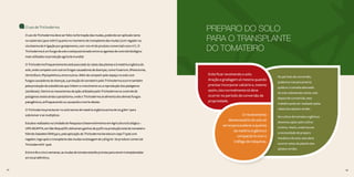 42 43
O uso de Trichoderma
O uso de Trichoderma deve ser feito na formação das mudas, podendo ser aplicado tanto
no substrato (400 ml/m3
) quanto no momento do transplante das mudas (com regador ou
via sistema de irrigação por gotejamento, com 100 ml do produto comercial/1.000 m2
). O
Trichoderma é um fungo de solo e está posicionado entre os agentes de controle biológico
mais utilizados na produção agrícola mundial.
O Trichoderma frequentemente está associado às raízes das plantas e à matéria orgânica do
solo, onde compete com outros fungos causadores de doenças, como Fusarium, Rhizoctonia,
Verticillium, Phytophthora, entre outros. Além de competir pelo espaço no solo com
fungos causadores de doenças, a proteção do tomateiro pelo Trichoderma ocorre também
pela produção de substâncias que inibem o crescimento ou a reprodução dos patógenos
(antibiose). Dentre os mecanismos de ação utilizados pelo Trichoderma no controle de
patógenos existe ainda o parasitismo, onde o Trichoderma se alimenta dos demais fungos
patogênicos, enfraquecendo ou causando a morte destes.
O Trichoderma precisa ter no solo teores de matéria orgânica acima de 20 g/dm-3
para
sobreviver e se multiplicar.
Estudos realizados na Unidade de Pesquisa e Desenvolvimento em Agricultura Ecológica –
UPD AE/APTA, em São Roque/SP, obtiveram ganhos de 57,6% na produção total do tomateiro
híbrido Saladete DRW3410, pela aplicação do Trichoderma harzianum cepa T1306 com
regador, logo após o transplante das mudas na dosagem de 2,8 kg ha-1
do produto comercial
Trichodermil® 1306.
Entre três e cinco semanas, as mudas de tomate estarão prontas para serem transplantadas
em local definitivo.
42 43
PREPARO DO SOLO
PARA O TRANSPLANTE
DO TOMATEIRO
No período de conversão,
podemos mecanicamente
quebrar a camada adensada
do solo subsolando a área, mas
depois de convertido, este
trabalho pode ser realizado pelas
raízes dos adubos verdes.
No cultivo de tomates orgânicos
devemos optar pelo cultivo
mínimo. Assim, onde houver
a necessidade de preparo
mecânico do solo, este deve
ocorrer antes do plantio dos
adubos verdes.
Evite ficar revolvendo o solo.
Aração e gradagem só mesmo quando
precisar incorporar calcário e, mesmo
assim, isto normalmente só deve
ocorrer no período de conversão da
propriedade.
O revolvimento
desnecessário do solo só
serve para acelerar a queima
da matéria orgânica e
compactá-lo com o
tráfego de máquinas.
 