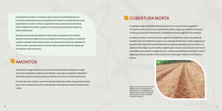 56 57
A condução do tomateiro com duas ou quatro hastes com poda baixeira tem se
mostrado compensadora para a produção de mini tomates ou tomates do tipo cereja.
A poda baixeira consiste em fazer a capação da muda quando esta apresenta duas
folhas verdadeiras formadas. A poda do meristema apical estimula a brotação nas
folhas cotiledonares.
Estudos comprovaram que plantas de mini tomate conduzidas com duas hastes
baixeiras em sistema orgânico elevou a produção comercial, por planta, em 18,45% em
relação à condução tradicional das hastes. Isso basicamente se deve à possibilidade de
formar e colher quase dois cachos a mais por haste secundária antes da capação que
foi realizada na altura do arame.
COBERTURA MORTA
A Legislação Orgânica Brasileira não faz distinção entre o uso de resíduos vegetais na
formação da cobertura morta ou o uso de filmes plástico (Figura 15), também chamado de
mulching. Do ponto de vista ambiental, a utilização de resíduos vegetais é mais vantajosa.
A cobertura morta no cultivo de tomates orgânicos é fundamental. Após o transplante do
tomateiro para o local definitivo (Figura 14) e a realização da amontoa, o resíduo vegetal que o
agricultor tiver disponível na propriedade deve ser aplicado logo após a primeira capina e ou
após a amontoa (Figura 15). Ao escolher a espécie que irá colocar nas cercas-vivas internas da
propriedade, para separar uma gleba da outra, considere a possibilidade de produzir material
vegetal que possa ser picado na reforma da cerca-viva para gerar cobertura morta para os
cultivos.
AMONTOA
A amontoa é o chegamento de terra na planta. Geralmente ela é realizada por ocasião
da primeira adubação de cobertura com Bokashi, 15 dias após o transplante. O Bokashi é
distribuído próximo às plantas e depois é coberto com terra no momento da amontoa.
Em áreas de cultivo maiores, a amontoa tem sido deixada de ser feita, sem grandes prejuízos
para o cultivo. Nesses locais, se for usado Bokashi, este é aplicado antes do transplante das
mudas.
Figura 14. Gleba de cultivo de tomate
orgânico recém- transplantada no
Sítio Catavento, em Indaiatuba, com
quebra-vento ao fundo formado por
capim elefante. (Fonte: Tivelli SW,
20 de junho de 2013)
56 57
 