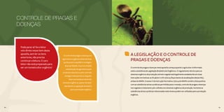64 65
A LEGISLAÇÃO E O CONTROLE DE
PRAGAS E DOENÇAS
O controle de pragas e doenças nesta apostila começa quando o agricultor é informado
sobre a existência da Legislação Brasileira de Orgânicos. O regulamento técnico para os
sistemas orgânicos de produção animal e vegetal está legalmente estabelecido em duas
instruções normativas: as IN 46/2011 e IN 17/2014 (fique atento às atualizações destas INs),
ambas do MAPA. O anexo V da Instrução Normativa 17/2014 do MAPA contém a lista positiva
com as substâncias ativas e práticas permitidas para o manejo, controle de pragas e doenças
nos vegetais e tratamento pós-colheita nos sistemas orgânicos de produção. Somente as
substâncias ativas e práticas relacionadas neste Anexo podem ser utilizadas para a produção
orgânica.
64 65
CONTROLE DE PRAGAS E
DOENÇAS
Pode parar aí! Se o leitor
veio direto nesse item desta
apostila, sem ler os itens
anteriores, não precisa
continuar a leitura. O caro
leitor não está preparado para
ser um tomaticultor orgânico!
O controle de pragas e doenças na
agricultura orgânica utiliza técnicas
que buscam o equilíbrio ecológico
da propriedade. A pura e simples
substituição de agrotóxicos por
produtos naturais ou pelo controle
biológico não permite a ninguém
dizer que esteja produzindo
tomates orgânicos, apesar de estar
atendendo à Legislação Brasileira
para a produção orgânica.
 