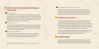 68 69
PINTA PRETA, REQUEIMA E DOENÇAS
FÚNGICAS
Chuva fora de época
Um dos imprevistos no cultivo a campo é a chuva fora de época. Nessa situação, a aplicação
da calda bordalesa a 1%1
é recomendado desde que autorizado pelos órgãos de certificação. A
autorização é necessária porque o cobre pode se acumular no solo e o uso excessivo da calda
bordalesa pode matar as minhocas. Em razão disso, a Legislação Brasileira de Orgânicos limita
o cobre a 6 kg/ha ano nas aplicações de controle de doenças.
Controle de pinta preta
A concentração da calda bordalesa pode variar de 0,3% a 2,0% para o controle da pinta preta,
requeima e demais doenças fúngicas. Devemos começar a aplicação com concentrações mais
baixas e ir aumentando em função da umidade. Não devemos esquecer que concentração
acima de 1% inibe o crescimento do tomateiro.
Requeima e teor de cobre no solo
Outro ponto importante em épocas e regiões que favoreçam a ocorrência da requeima é
investigar o teor de cobre no solo. Em solos com teores abaixo de 2,0 mg/dm3
de cobre, a
planta do tomateiro fica predisposta ao ataque do fungo causador da requeima.
Biofertilizantes protegem contra bactérias e fungos
A aplicação de biofertilizantes nas folhas do tomateiro, além do efeito nutricional para a
planta, tem um importante efeito no controle de doenças. Os microrganismos presentes
nos biofertilizantes formam uma camada protetora na folha, impedindo ou dificultando que
bactérias e fungos causadores de doenças consigam penetrar na folha e se desenvolver.
FORMIGAS, SAÚVAS...
Emdeterminadassituaçõesdedesequilíbriodotomateiro,asplantaspodemseratacadaspor
saúvaequenquém.Osprodutoresorgânicosconheceminúmerasmaneirasparaeliminaros
formigueiroseninhosdestasformigas.Podemoslembraraquidocontrolefeitoporhomeopatiae
pelacolocaçãodacinzadeformigasoudeBokashinosolheirosecarreadoresdoformigueiro.Em
2014foilançadaaprimeiraiscadeformigaorgânicaparaocontroledasformigascortadeiras,cuja
marcacomercialéaBioIsca.Paramaisinformações,visiteositewww.bioisca.com.br.
Poroutrolado,ocontrolebiológicocresceapassoslargosnoBrasil.Ofaturamentodasempresas
quecomercializamosagentesbiológicosdobroude2013para2014.Asempresasdosetor
estimamqueofaturamentodelasváigualarodocontrolequímicoem2020.
NEMATOIDES
Paraocontroledenematoides,emespecialdosformadoresdegalhaemsolosondeoteorde
matériaorgânicaaindaébaixo(<20g/dm3
)eondearotaçãocomadubosverdesaindanãoesteja
fazendoestecontrole,háalgunsfungoscomerciaiseficientes.TantooTrichodermaharzianum1
Calda bordalesa a 1%: 1 kg de sulfato de cobre, 1 kg de cal hidratado ou cal virgem, acrescido em 100 litros de
água.
68 69
 