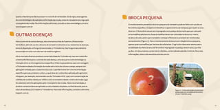 70 71
quantooPaecilomyceslilacinusatuamnocontroledenematoides.Viaderegra,essesagentes
decontrolebiológicosãoaplicadosnaformaçãodasmudas,antesdotransplantee/oulogoapós
otransplantedasmudas.Parainformaçõesadicionais,consulteossiteswww.ballagro.com.bre
www.koppert.com.br.
OUTRAS DOENÇAS
Para o controle de outras doenças, tais como as murchas de Fusarium, Rhizoctonia e
Verticillium, além do uso de cultivares de tomateiro tolerantes e/ ou resistentes às doenças,
temos à disposição um fungo já mencionado, o Trichoderma. Este fungo é naturalmente
encontrado em solos com alto teor de matéria orgânica.
Há no mercado diversos produtos comerciais à base de Trichoderma, mas nem todos têm
a mesma eficiência para o controle de cada doença, uma vez que no controle biológico a
interação entre os microrganismos é especifica. O fato é que podemos usar com vantagem
o Trichoderma desde a formação de mudas até o início da cultura a campo, sempre com
aplicações voltadas para o substrato e/ou solo. Cada fabricante tem uma recomendação
especifica para seu produto e cultura, a qual deve ser conhecida e aplicada pelo agricultor.
A Koppert, por exemplo, recomenda o uso do Trichodermil SC 1306, com concentração de
2 bilhões de conídios viáveis por mililitro (ml) no tomateiro desde o viveiro de mudas (2g/L
de substrato) até três aplicações após o transplante das mudas. Nesta recomendação, o
produto comercial deve ser aplicado no colo e baixeiro da planta, no final da tarde, pois os
raios ultravioletas (UV) matam o Trichoderma. Para mais informações, consulte o site www.
koppert.com.br.
BROCA PEQUENA
O monitoramento preventivo da broca pequena do tomateiro pode ser feito com uso de um
feromônio específico. O objetivo é identificar o aparecimento da mariposa que irá pôr os ovos
da broca. O feromônio sexual vem impregnado num pedaço de borracha para ser colocado
em armadilhas pela lavoura. Essas armadilhas devem ser colocadas na lavoura a 1 metro
de altura do solo, assim que o tomateiro começar a florescer, e precisam ser monitoradas
semanalmente (Figura 17). Para o monitoramento da lavoura em relação à broca pequena,
apenas quatro armadilhas por hectare são suficientes. O agricultor deve estar atento para a
durabilidade do efeito atrativo do feromônio impregnado no pedaço de borracha, que é de
45 dias. Um dos produtos comerciais é o BioNeo, comercializado pela Bio Controle. Para mais
informações, visite o site www.biocontrole.com.br.
70 71
Figura 17 - Cultivo de tomate convencional
monitorado com armadilha de feromônio.
(Fonte: Tivelli SW, 2005)
ValmirDuarte
 