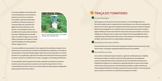 72 73
O uso das armadilhas com feromônio não
é recomendado para o controle da broca
pequena. Ao encontrar as mariposas
na armadilha, o agricultor pode instalar
armadilhas luminosas para capturar as
mariposas (Figura 18), que devem ficar
ligadas do início da noite até por volta
das 22h. O recomendado é colocar uma
armadilha luminosa para cada seis hectares
de tomate. A lâmpada deve ser colocada
sobre uma vasilha com água e um pouco de
sabão ou detergente, para quebrar a tensão
superficial da água e as mariposas possam
afundar na água e morrer.
TRAÇA DO TOMATEIRO
O controle biológico
Outra praga comum da cultura é a traça do tomateiro. O controle biológico feito com
feromônio também pode ser realizado de forma semelhante ao controle da broca pequena do
tomate. No mercado, os agricultores dispõem de feromônio sexual que é vendido em pedaços
de borrachas impregnados com a substância. Para o monitoramento da traça do tomateiro,
duas armadilhas por hectare são suficientes. Elas precisam estar posicionadas a cerca de 1,60
m de altura em relação ao solo ou na altura do tomateiro e fora do quadro/gleba de cultivo,
mas próximas do tomatal e posicionadas contra o vento para atrair as mariposas da traça do
tomateiro. Além disso, devem ser inspecionadas a cada 3-4 dias.
Reposição periódica de armadilhas
É preciso lembrar que o feromônio sexual impregnado no pedaço de borracha atua por cerca
de dois meses, o que exige a reposição periódica do produto nas armadilhas.
As armadilhas luminosas
Ao encontrar a mariposa da traça do tomateiro, o agricultor também pode usar armadilhas
luminosas para capturar os adultos, conforme mencionado para a broca pequena do
tomate, mas não pode deixar de usar a bactéria de solo comercialmente conhecida como
Bt (Bacillus thuringiensis). Os cuidados para a aplicação do Bt são os mesmos mencionados
anteriormente, exceto que, para o controle da traça do tomateiro, a calda com Bt deve ser
direcionada para as folhas em formação no ponteiro e brotos do tomateiro. A larva da traça, ao
nascer, precisa se contaminar com a bactéria antes de penetrar na folha.
O uso da armadilha luminosa é optativo. O que o agricultor não pode deixar de aplicar é uma
bactéria de solo comercialmente conhecida como Bt (Bacillus thuringiensis). No mercado há
vários produtos comerciais há décadas (Agree, Dipel, entre outros) e para obter um controle
eficiente com a sua aplicação, o agricultor deve aplicar este inseticida ao final do dia, quando o
sol estiver mais fraco e a umidade do ar for maior, na dosagem recomendada pelo fabricante.
No caso especifico da broca pequena do tomate, a calda deve ser aplicada nos cachos do
tomateiro, pois a broca precisa se contaminar com a bactéria antes de entrar no fruto.
Contaminada, ela irá entrar no fruto e morrer dentro dele sem deixar qualquer vestígio deste
ataque quando o fruto estiver maduro.
72 73
Figura 18. Cultivo de tomate rasteiro com armadilha
luminosa. (Fonte: Tivelli SW, 2005)
 