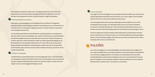 74 75
Outro aliado do tomaticultor desde 2013 é o Trichogramma pretiosum. Este inseto é um
parasitoide de ovos de várias espécies de pragas da família dos Lepidópteros, como por
exemplo, a broca pequena do tomate, a traça do tomateiro e a lagarta mede palmo.
Parasitoide aliado do produtor
Neste caso, o controle biológico ocorre da seguinte forma: o adulto do Trichogramma
pretiosum localiza os ovos da praga no tomateiro e neles deposita seus ovos. Sendo assim, ao
invés de nascer do ovo da praga uma lagarta para atacar o tomateiro, deste ovo nascerá um
novo Trichogramma pretiosum.
Os ovos deste parasitoide são comercializados em cartelas que podem ser enviadas para o
agricultor pelos Correios. Na embalagem que o produtor recebe consta uma previsão da data
provável de emergência dos insetos, que pode variar um pouco em função da temperatura.
O ideal é o agricultor verificar esta data ao receber as cartelas e guardá-las abrigadas do sol,
da umidade e do frio (a temperatura ideal é entre 20ºC e 25ºC) até o inicio do nascimento
dos parasitóides, para então fazer a distribuição das cartelas na lavoura. As cartelas devem
ser distribuídas a cada 10 metros uma da outra (80 cartelas por hectare), pois este é o raio de
atuação do parasitóide.
Cuidados na aplicação
Considerando que o parasitoide localiza os ovos das pragas pelo cheiro, o controle biológico
com este agente somente será eficiente se não houver a pulverização de outros produtos três
dias antes e depois da distribuição das cartelas. Para mais informações, consulte o site www.
koppert.com.br ou www.bugagentesbiologicos.com.br.
O ácaro predador
Outro agente de controle biológico é o ácaro predador Neoseiulus californicus. Este ácaro tem
notável capacidade de se alimentar de outros ácaros, como o ácaro rajado. O ácaro predador
alimenta-se dos ovos, ninfas, larvas e adultos de outros ácaros.
A recomendação do fabricante é para que a liberação do ácaro predador ocorra no início
da infestação do ácaro praga, com a liberação de pelo menos 20.000 ácaros predadores
por hectare. As liberações são feitas por meio do polvilhamento das folhas da cultura com o
produto comercial. Outras informações podem ser encontradas no site www.koppert.com.br.
No cultivo orgânico do tomateiro podemos ainda utilizar placas ou faixas adesivas coloridas
para o monitoramento e controle de insetos. A cor amarela é sabidamente atrativa para alguns
insetos, como por exemplo: pulgões, mosca branca e mosca da larva minadora (bicho mineiro,
liriomyza), assim como a cor azul atrai trips.
PULGÕES
A ocorrência de pulgões é um sinal de desequilíbrio nutricional (excesso de nitrogênio). Por
isso, reveja a adubação feita ou que esteja sendo feita na cultura. Além da placa ou faixa adesiva
na cor amarela, os pulgões podem ser controlados com o polvilhamento de cinza na fase
inicial da infestação ou através da pulverização de cinza e cal na concentração de 2% cada (20
g por litro de água). Outros preparados repelentes também são eficientes, como as caldas de
pimenta e alho, e o chá de arruda - isso sem falar no uso do Neem.
74 75
 