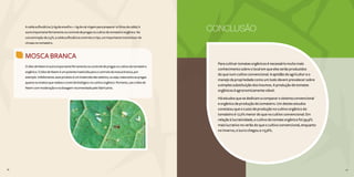 76 77
A calda sulfocálcica (2 kg de enxofre + 1 kg de cal virgem para preparar 10 litros da calda) é
outra importante ferramenta no controle de pragas no cultivo do tomateiro orgânico. Na
concentração de 0,5%, a calda sulfocálcica controla o trips, um importante transmissor de
viroses no tomateiro.
MOSCA BRANCA
76 77
O óleo de Neem é outra importante ferramenta no controle de pragas no cultivo do tomateiro
orgânico. O óleo de Neem é um potente inseticida para o controle da mosca branca, por
exemplo. Infelizmente, este produto é um inseticida não seletivo, ou seja, mata tanto as pragas
quanto os insetos que realiza o controle biológico no cultivo orgânico. Portanto, use o óleo de
Neem com moderação e na dosagem recomendada pelo fabricante.
Para cultivar tomates orgânicos é necessário muito mais
conhecimento sobre o local em que eles serão produzidos
do que num cultivo convencional. A aptidão do agricultor e o
manejo da propriedade como um todo devem prevalecer sobre
a simples substituição dos insumos. A produção de tomates
orgânicos é agronomicamente viável.
Há estudos que se dedicam a comparar o sistema convencional
e orgânico de produção do tomateiro. Um destes estudos
constatou que o custo de produção no cultivo orgânico do
tomateiro é 17,2% menor do que no cultivo convencional. Em
relação à lucratividade, o cultivo do tomate orgânico foi 59,9%
mais lucrativo no verão do que o cultivo convencional, enquanto
no inverno, o lucro chegou a 113,6%.
CONCLUSÃO
SebastiãoAraujo/EMBRAPA
 