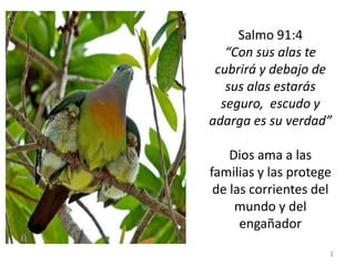 Salmo 91:4
“Con sus alas te
cubrirá y debajo de
sus alas estarás
seguro, escudo y
adarga es su verdad”
Dios ama a las
familias y las protege
de las corrientes del
mundo y del
engañador
1

 