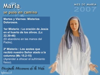Martes y Viernes: Misterios Dolorosos. 1er Misterio : La oración de Jesús en el huerto de los olivos. (Lc 22.39-46) (El abandono en las manos del Padre). 2º Misterio : Los azotes que recibió nuestro Señor atado a la columna (Mc 15.2-15) (Aprender a ofrecer el sufrimiento físico). 