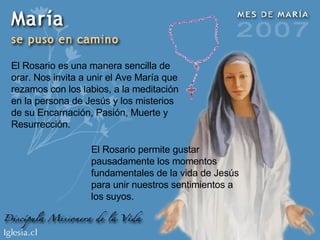 El Rosario es una manera sencilla de orar. Nos invita a unir el Ave María que rezamos con los labios, a la meditación en l...