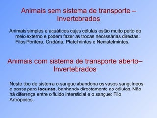 Animais sem sistema de transporte – Invertebrados Animais simples e aquáticos cujas células estão muito perto do meio externo e podem fazer as trocas necessárias directas: Filos Porifera, Cnidária, Platelmintes e Nematelmintes.  Animais com sistema de transporte aberto– Invertebrados Neste tipo de sistema o sangue abandona os vasos sanguíneos e passa para  lacunas , banhando directamente as células. Não há diferença entre o fluido intersticial e o sangue: Filo Artrópodes.  