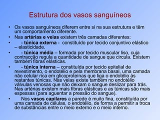 Estrutura dos vasos sanguíneos Os vasos sanguíneos diferem entre si na sua estrutura e têm um comportamento diferente. Nas  artérias e veias  existem três camadas diferentes: -  túnica externa  -  constituído por tecido conjuntivo elástico – elasticidade. -  túnica média  – formada por tecido muscular liso, cuja contracção regula a quantidade de sangue que circula. Existem também fibras elásticas. -  túnica interna  – constituída por tecido epitelial de revestimento, o endotélio e pela membrana basal, uma camada não celular rica em glicoproteínas que liga o endotélio às restantes túnicas. Nas veias existe também no endotélio válvulas venosas que não deixam o sangue deslizar para trás. Nas artérias existem mais fibras elásticas e as túnicas são mais espessas (para aguentar a pressão do sangue). Nos  vasos capilares  a parede é muito fina, constituída por uma camada de células, o endotélio, de forma a permitir a troca de substâncias entre o meio externo e o meio interno. 