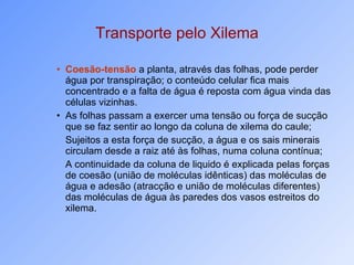Transporte pelo Xilema Coesão-tensão  a planta, através das folhas, pode perder água por transpiração; o conteúdo celular fica mais concentrado e a falta de água é reposta com água vinda das células vizinhas.  As folhas passam a exercer uma tensão ou força de sucção que se faz sentir ao longo da coluna de xilema do caule;  Sujeitos a esta força de sucção, a água e os sais minerais circulam desde a raiz até às folhas, numa coluna contínua;  A continuidade da coluna de liquido é explicada pelas forças de coesão (união de moléculas idênticas) das moléculas de água e adesão (atracção e união de moléculas diferentes) das moléculas de água às paredes dos vasos estreitos do xilema. 