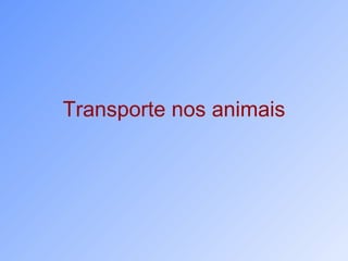 Transporte nos animais 