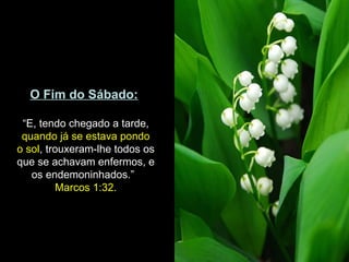 O Fim do Sábado:
“E, tendo chegado a tarde,
quando já se estava pondo
o sol, trouxeram-lhe todos os
que se achavam enfermos, e
os endemoninhados.”
Marcos 1:32.
 