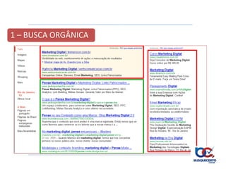 1 – BUSCA ORGÂNICA
 