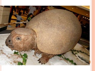 O PALEOLÍTICO - AMBIENTE
 