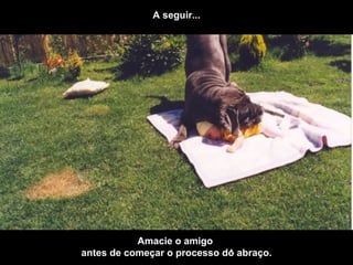 A seguir... . Amacie o amigo  antes de começar o processo do abraço. 