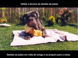 ‘ Utilize a técnica do deslize de patas'  . Deslize as patas em volta do amigo e se prepare para o close.  