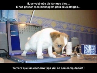 E, se você não visitar meu blog... E não passar essa mensagem para seus amigos...  . Tomara que um cachorro faça xixi no seu computador! ! 