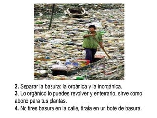 2.  Separar la basura: la orgánica y la inorgánica. 3 . Lo orgánico lo puedes revolver y enterrarlo, sirve como abono para tus plantas. 4.  No tires basura en la calle, tírala en un bote de basura. 